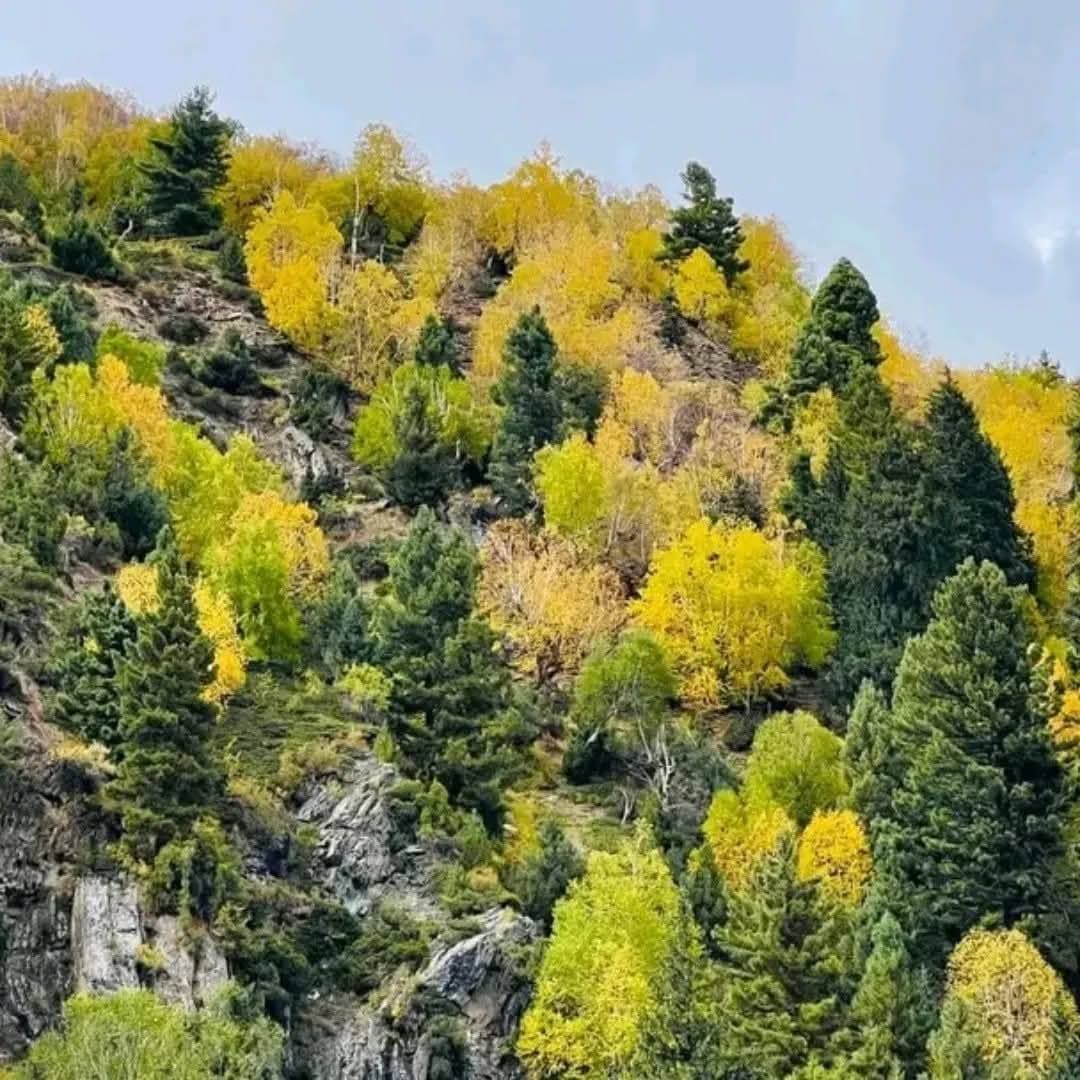 Kumrat — Pine forests, waterfalls and riverside camps.